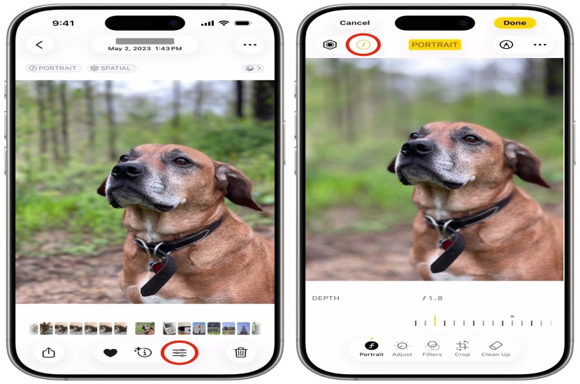 iPhone'da Portre modunda fotoğraf bulanıklığı nasıl ayarlanır