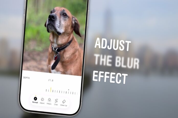 iPhone fotoğraf bulanıklığını ayarlayın [Profesyonel İpucu]