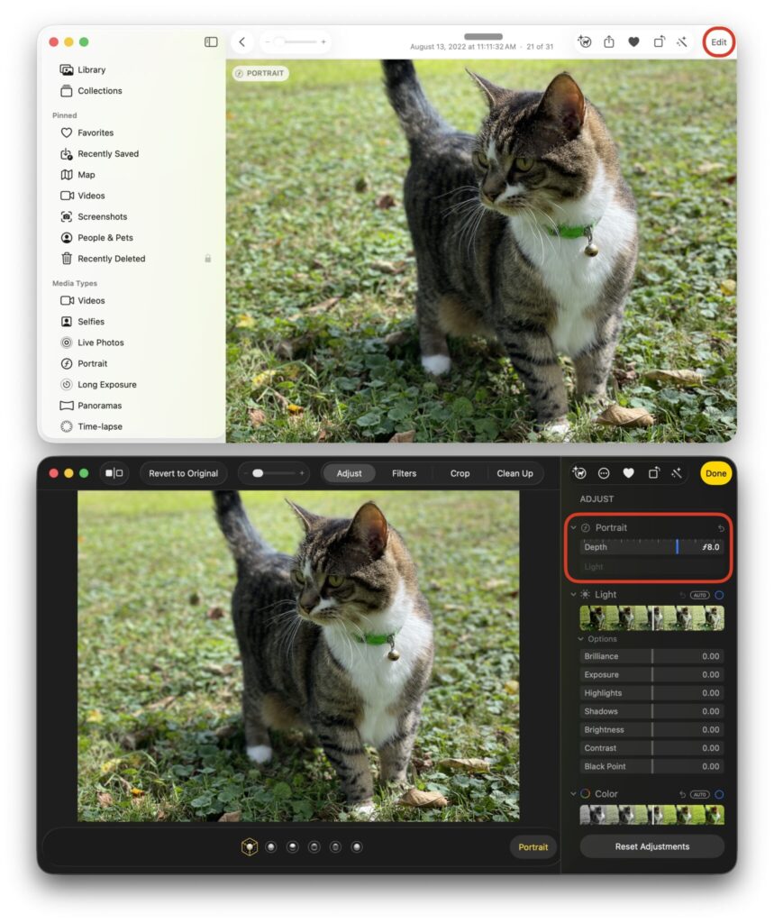 Mac'te Portre modunda fotoğraf bulanıklığı nasıl ayarlanır